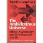 The ambidextrous universe vignette