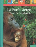 vignette